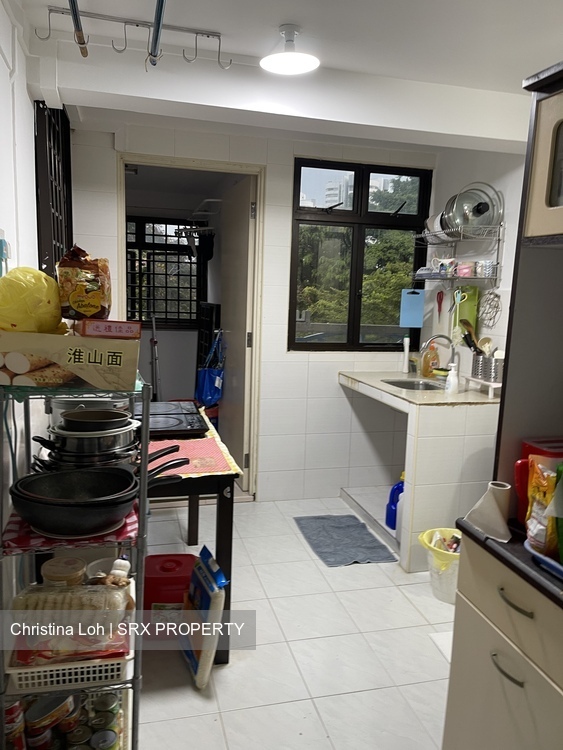 Blk 107 Tiong Bahru Orchid (Bukit Merah), HDB 3 Rooms #377214731